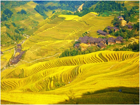 婚礼上播放张杰的秋天的童话,张杰秋天的童话舞蹈