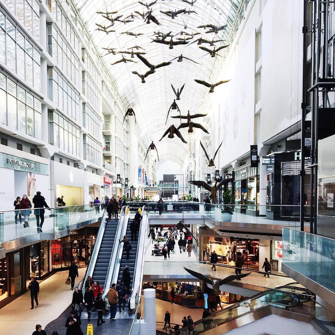 加拿大购物攻略大全,加拿大必购物清单