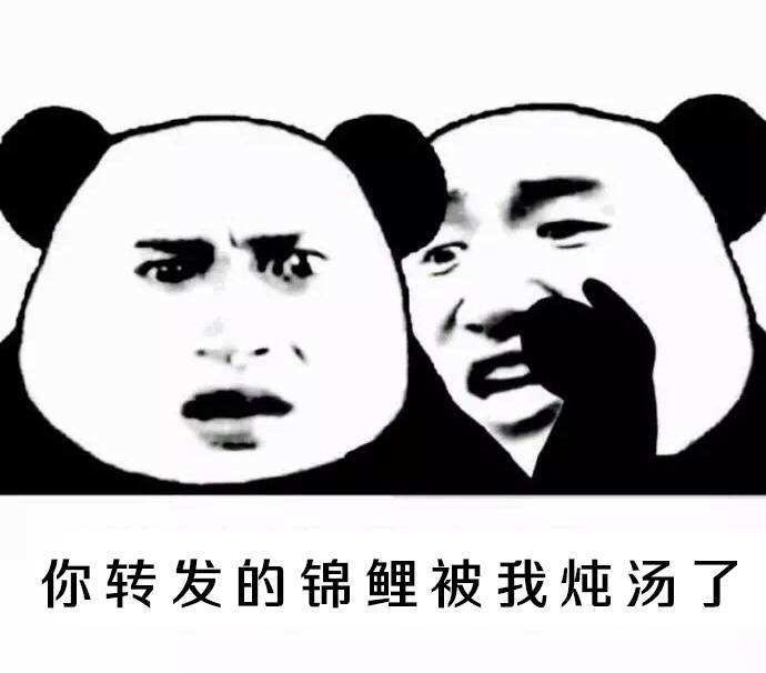 星链友店是正规平台吗,星链友店是做什么平台