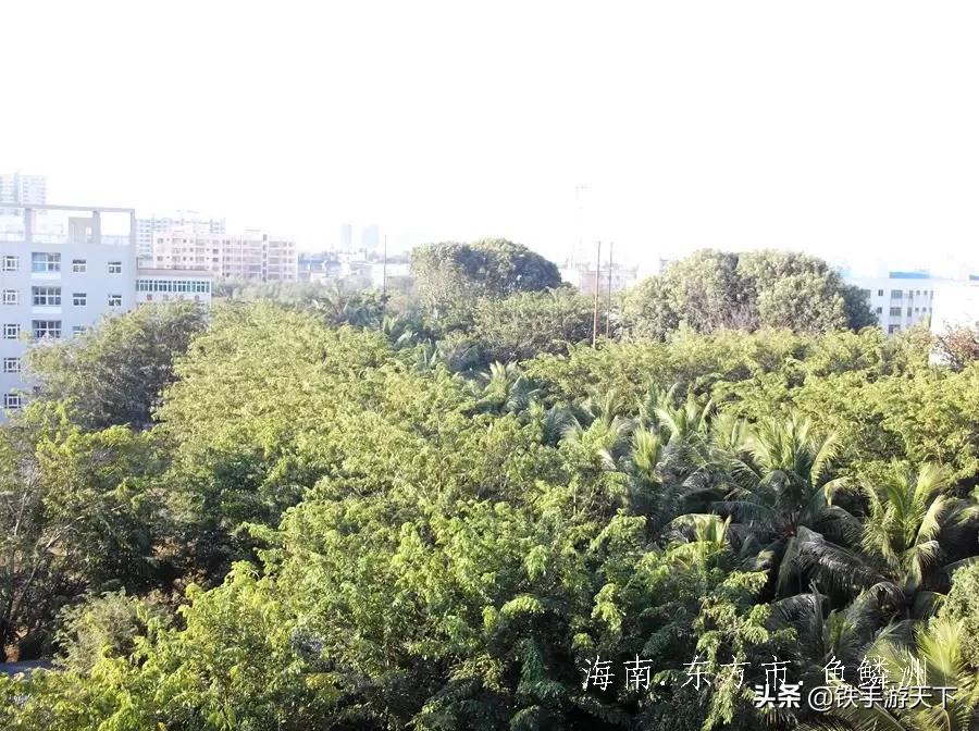 娴峰崡涓滄柟甯傞奔槌炴床姹℃煋,娴峰崡涓滄柟甯傞奔槌炴床缇庨