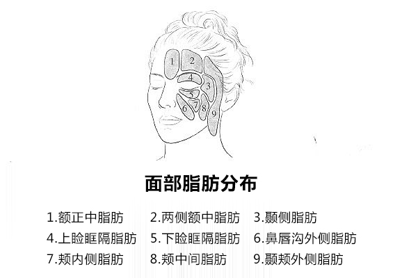 教你一招轻松改善脸部下垂,脸垮下垂怎么运动改善