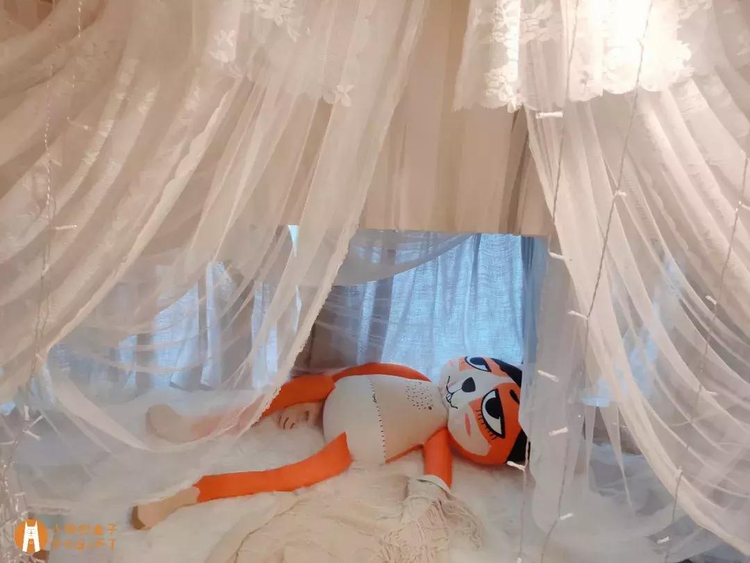 马克深圳最秀狗咖