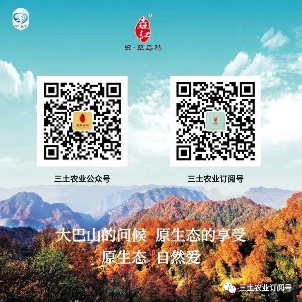 100部必看经典电视剧列表,一生必看的100部经典电视剧