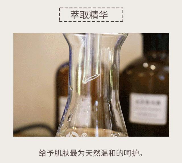 鑺辩摚缇庡鎶よ偆,鑺辩摚鎶よ偆