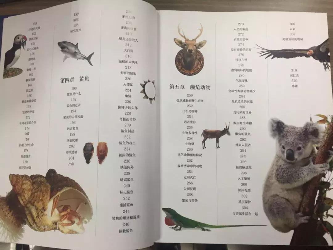 儿童dk哪些书籍值得买,dk儿童书籍推荐