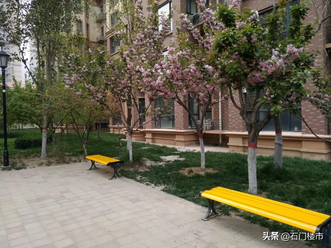 实地探访红盘交房后真实一面,解密热销红盘背后的生活理想