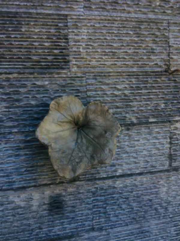 浙江土豪自建豪华别墅乔迁,90后小伙花30万自建别墅