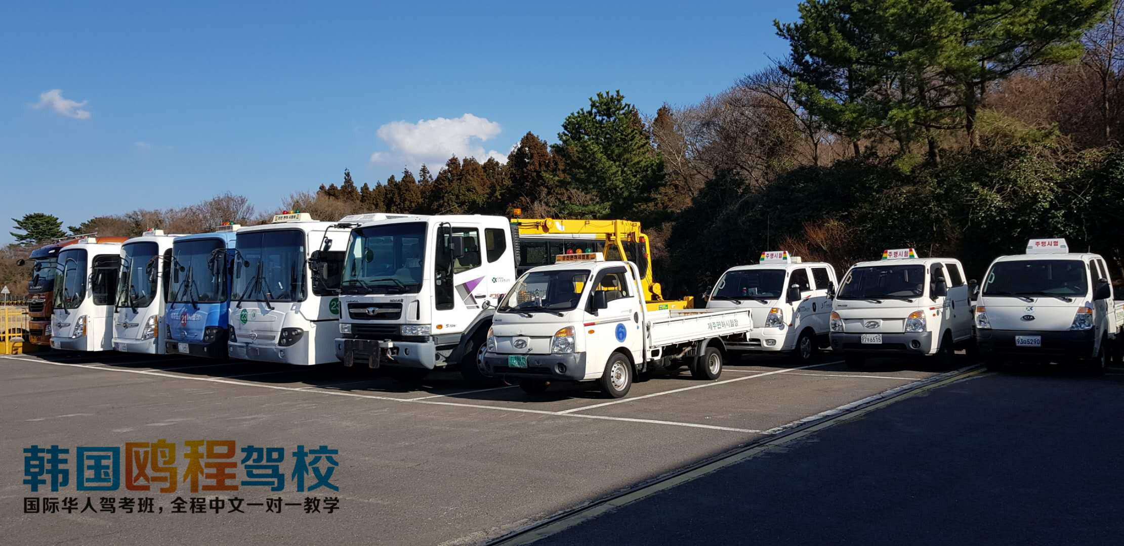 2020速学驾照,韩国驾考最新攻略