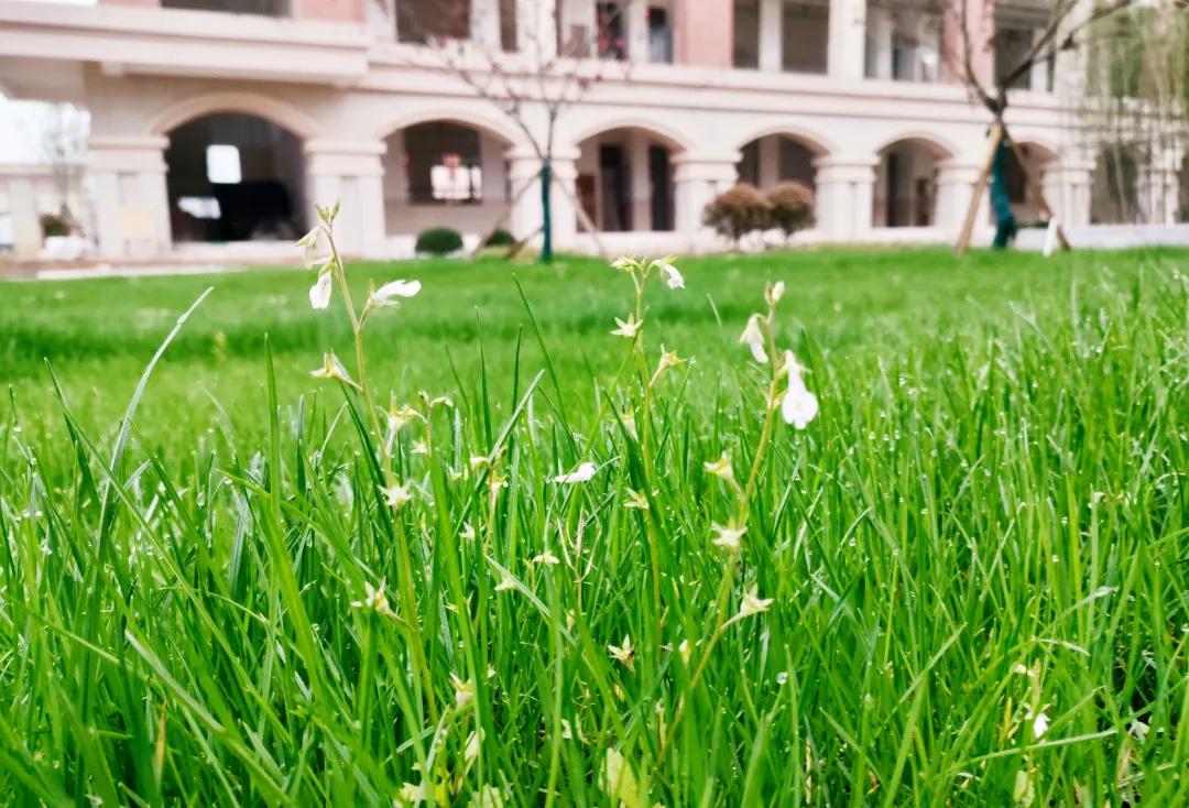 望城区的美景,望城的美景有哪些
