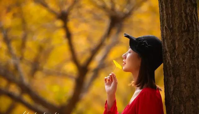 秋风起秋思满分作文,秋风起秋思的作文