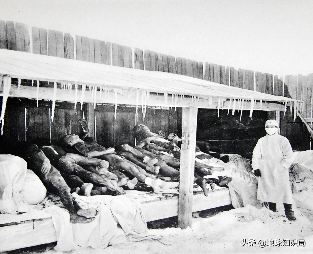 1905年东北鼠疫是如何控制的,熟悉1910年的东北鼠疫事件