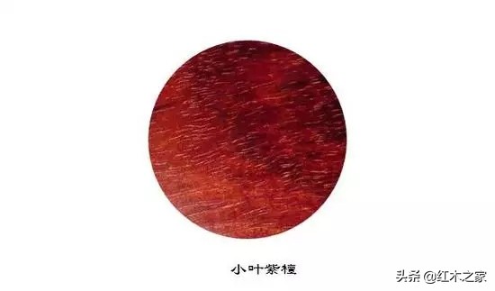 真红木和假红木的区别,红木材质大全