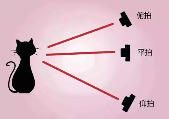 拍照模糊的方法是什么,拍照模糊如何去掉