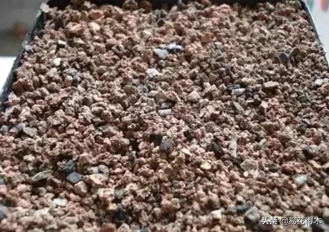 养花煤渣直接掺到土里吗,蜂窝煤渣养花好处多