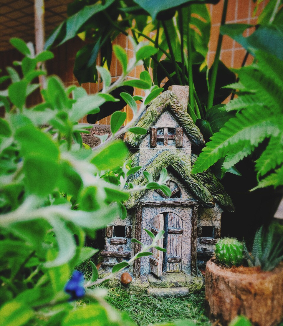 阳台花园改造封闭式设计,全封闭式阳台100款阳台花园设计图