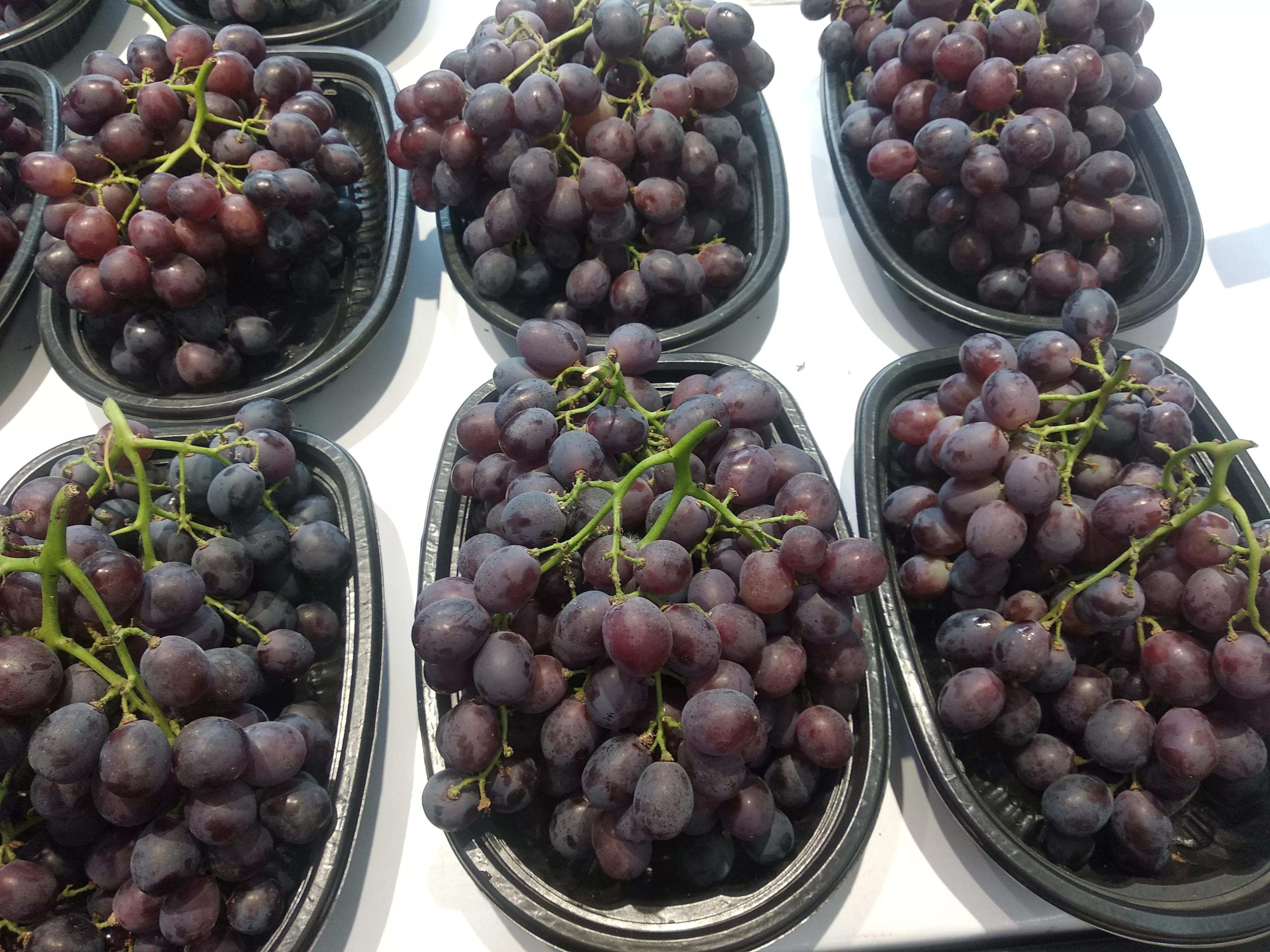 中秋节送礼日子有讲究吗,中秋节送礼送几样东西最好