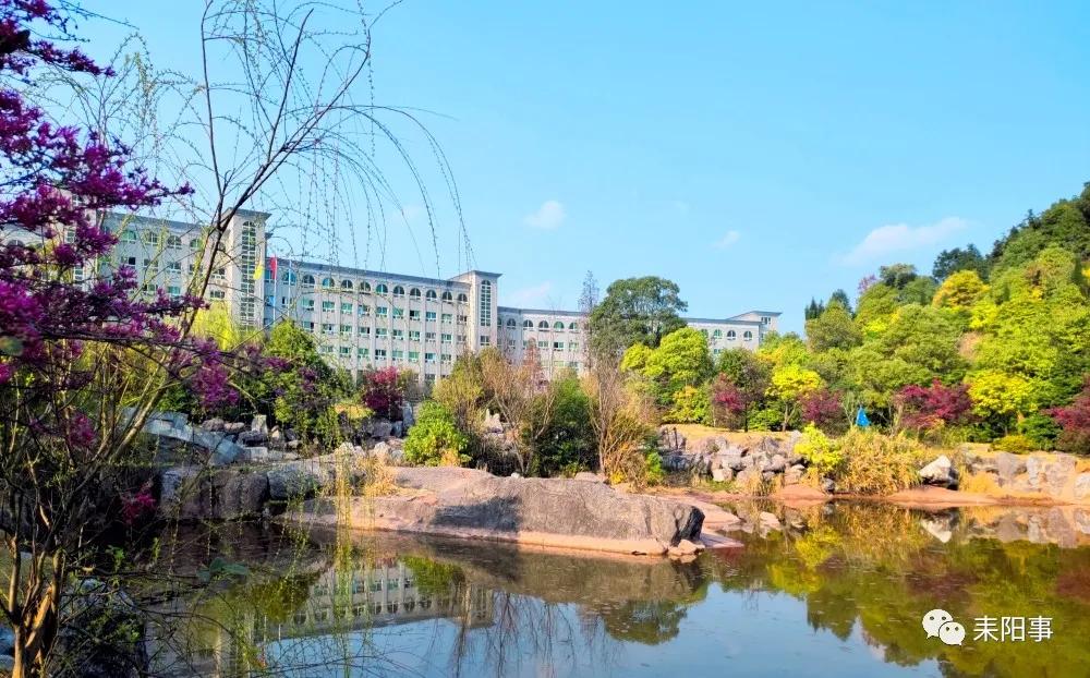 迎接校园里的百花齐放,教室窗外百花齐放