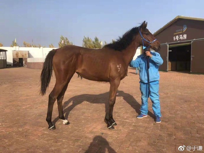 郭德纲说于谦劳斯莱斯,于谦给郭德纲祝寿