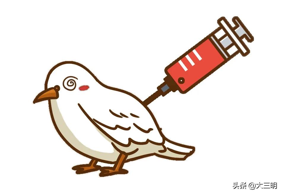 日入千元靠谱吗,日入千元可信吗