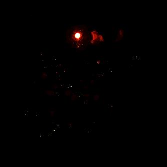 新发地产集团成立10周年,新发地产集团十周年