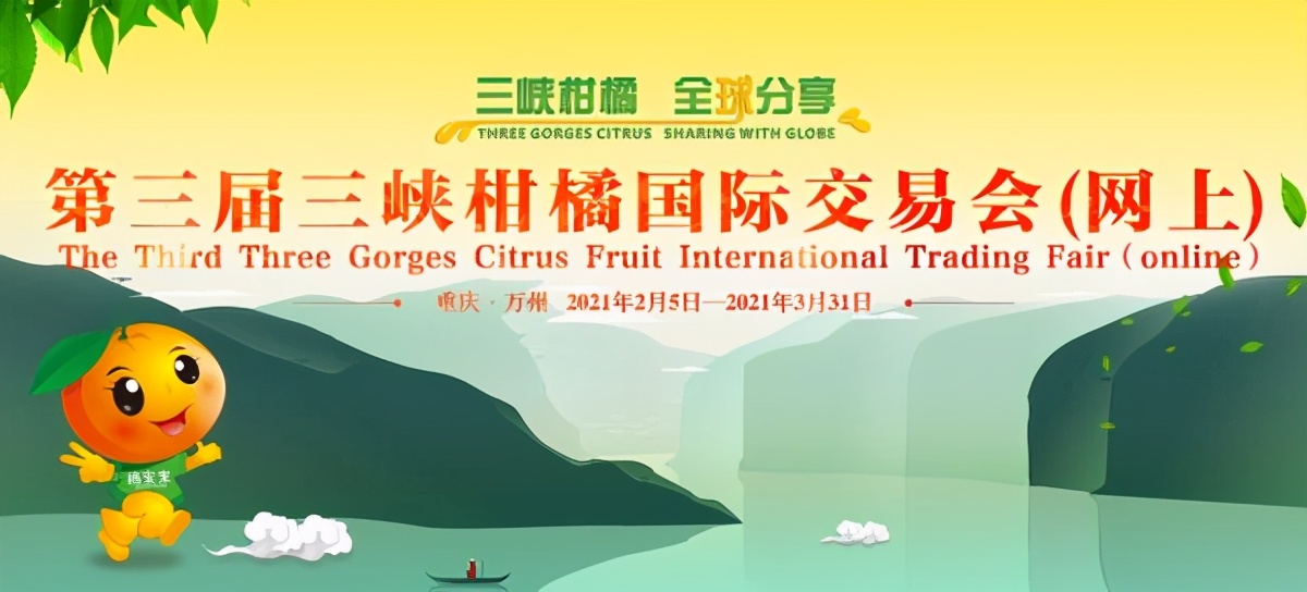 世界柑橘起源地竟在重庆，种植历史超4000年，曾是宫廷贡品