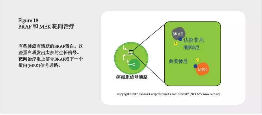 肺癌指南2023年版下载,肺癌治疗指南2023文档下载