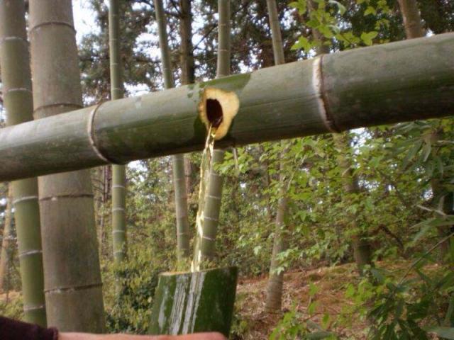 竹筒酒是骗人的么,竹筒酒骗局视频