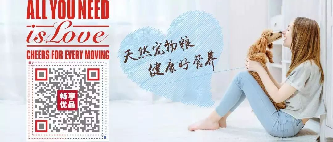 畅享一夏萌宠洗护,畅享宠物