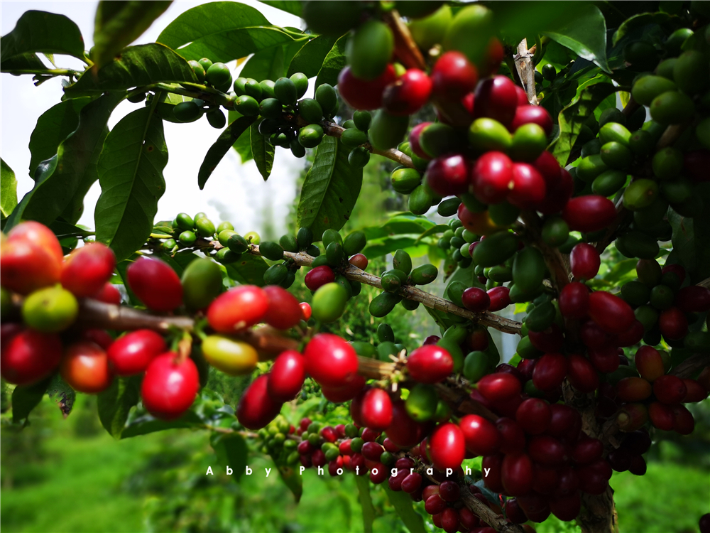 印尼苏门答腊岛好玩的地方,印尼苏门答腊岛海岛