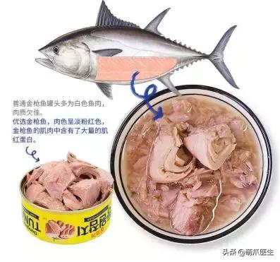 怎样让猫咪喝水才正确,猫咪进厕所喝水