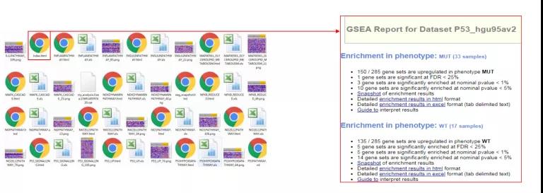gsea鍒嗘瀽鏁欑▼璇﹁В,gsea鍒嗘瀽鏁欑▼