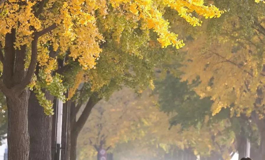 无聊的时候做什么才有意思,无聊时要做的十件事