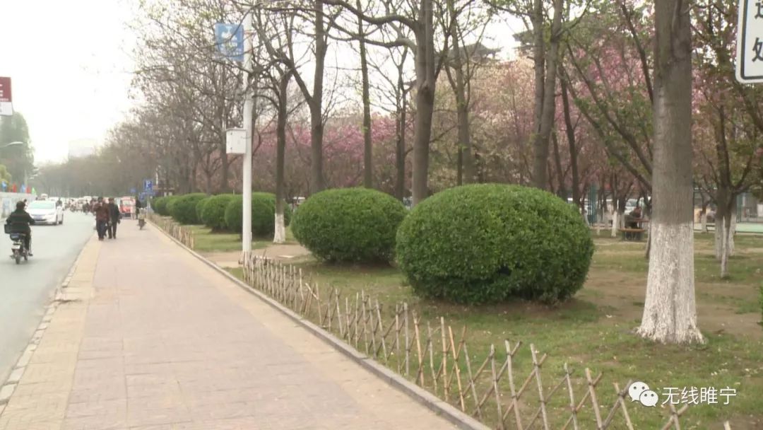 徐州睢宁县道路整修,睢宁县人民医院扩建效果图