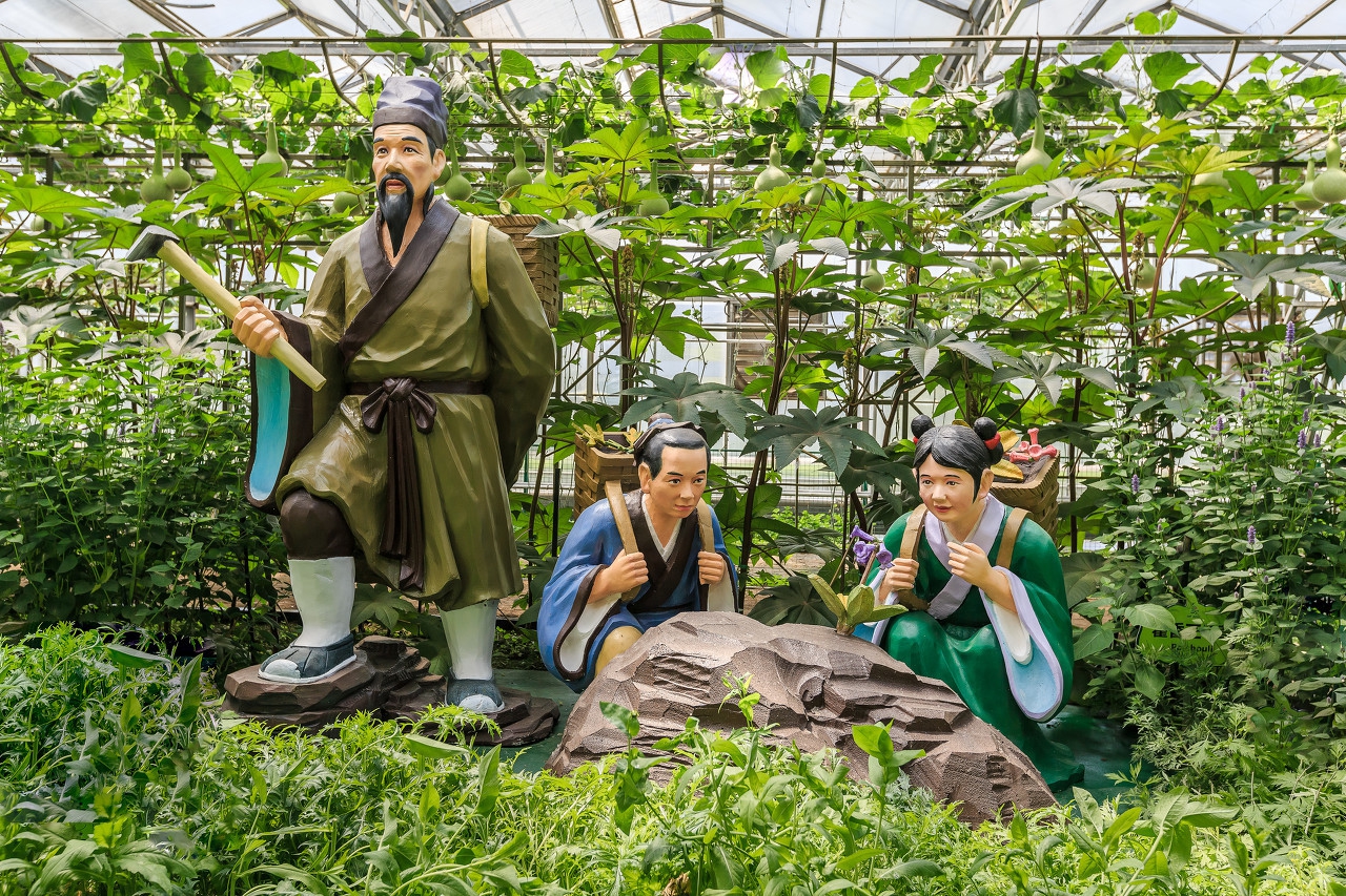 古代中医名人李时珍故事事迹,古代十大名医药王李时珍