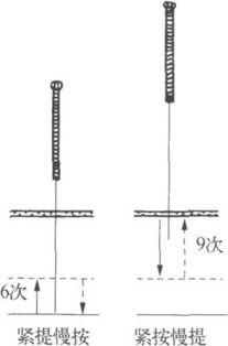 三衢杨氏补泻（十二字分次第手法及歌）