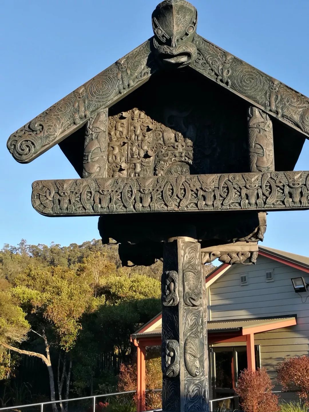 难忘的新西兰之行,在新西兰难忘的日子