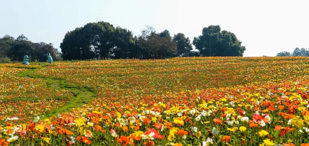 5月18日成都免费游博物馆怎么预约,成都周边游玩哪些地方需要预约的