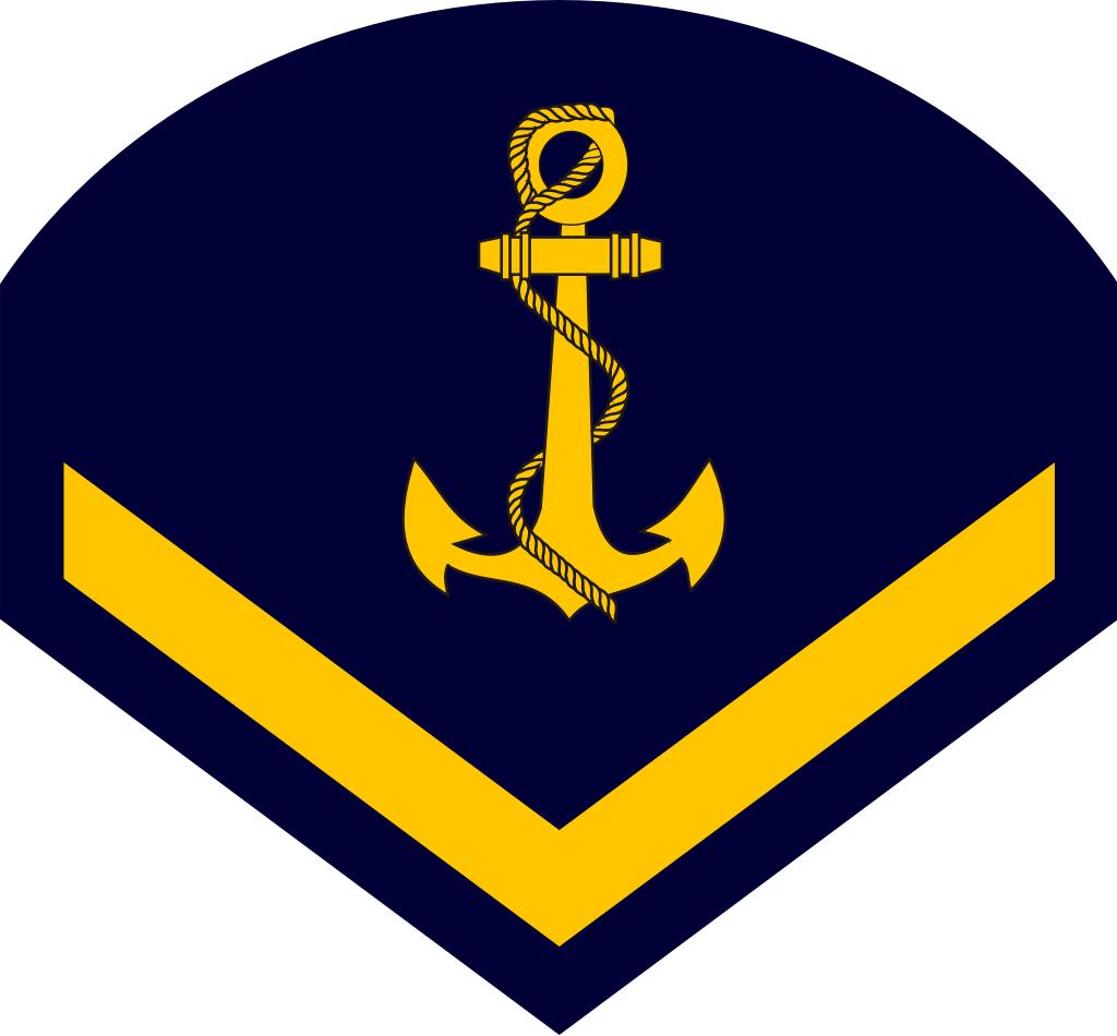 巴西军衔图片,各国军衔标识俄罗斯