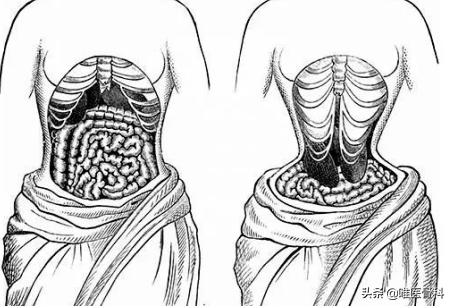 这要命的事千万别做！关于「束腰」你必须要知道的真相