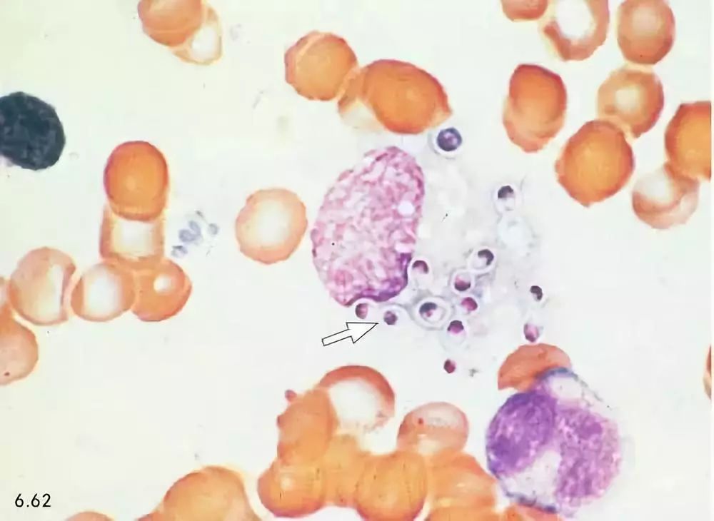 医药新闻最新,2019医药新闻热点