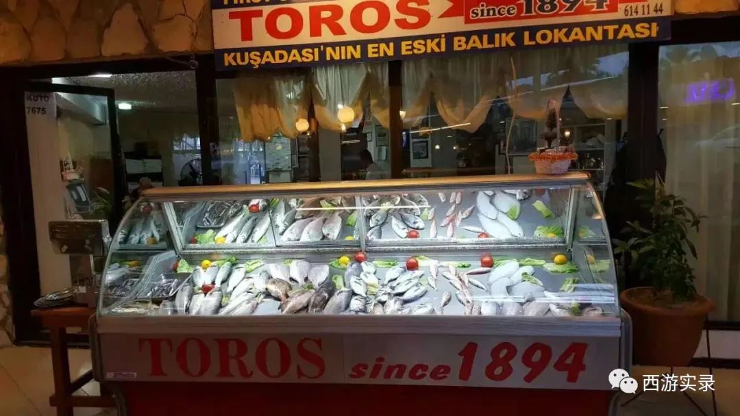 她的伊朗心上人委婉拒绝了她