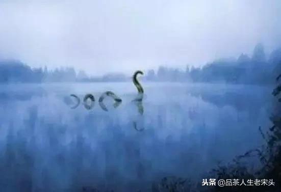 最新世界十大“怪”，最后一个太绝了！