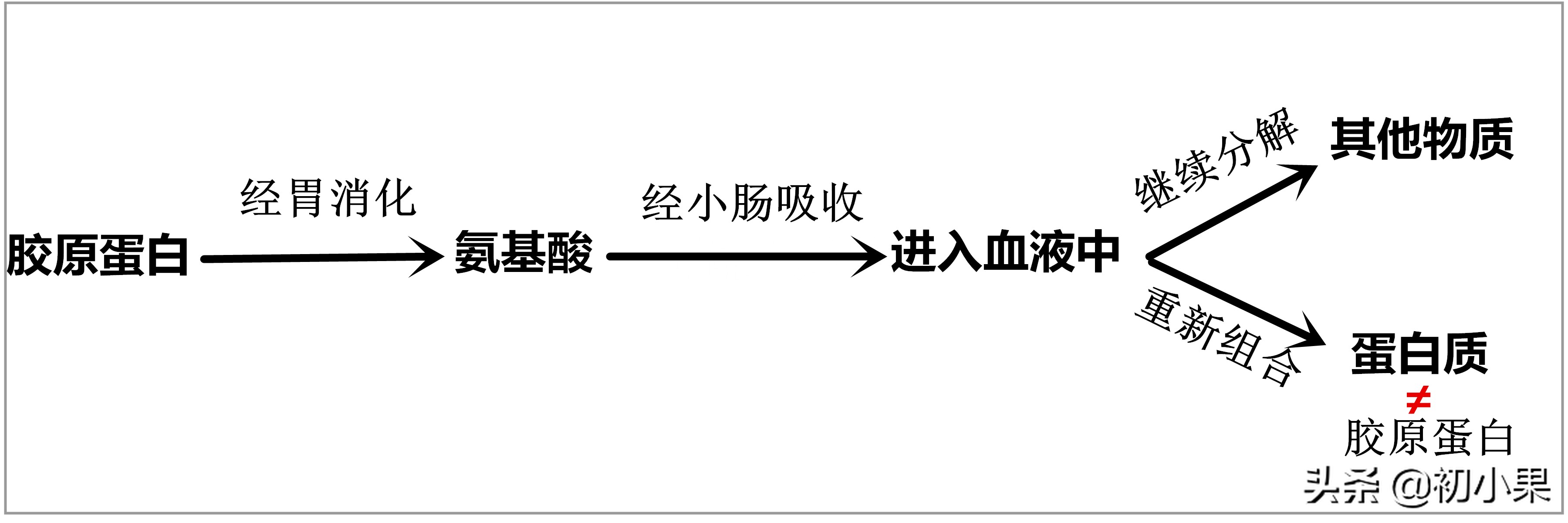 你流失的胶原蛋白补回来了吗,脸部胶原蛋白流失怎么补