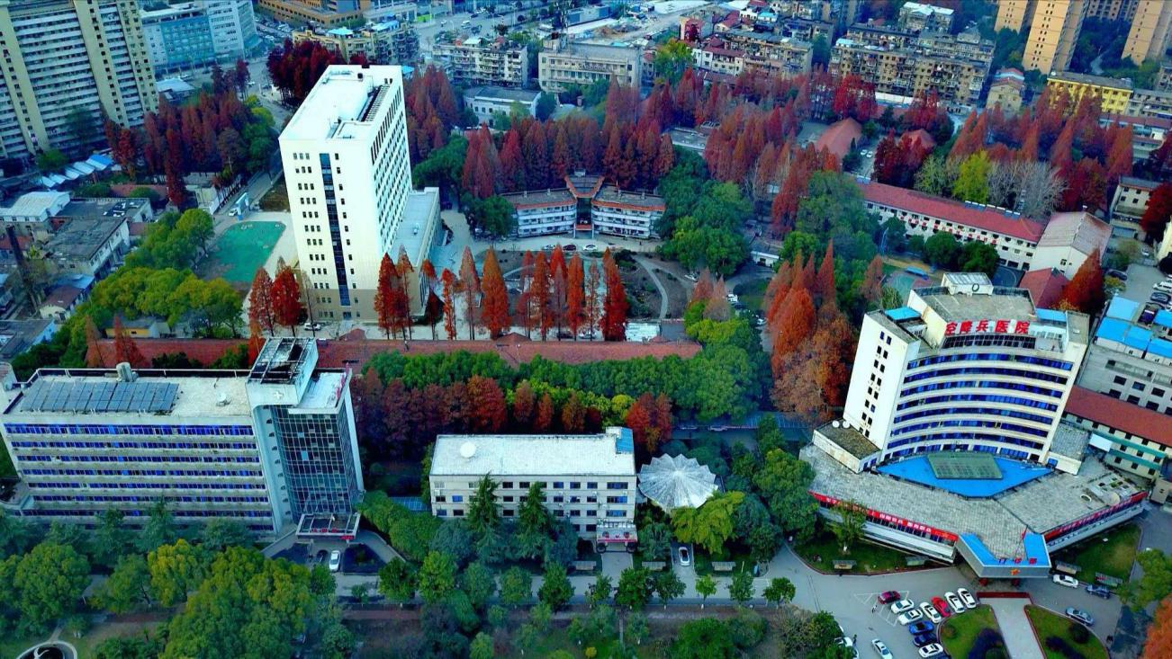 医者仁心育人明德,医者仁心用爱筑梦医路前行