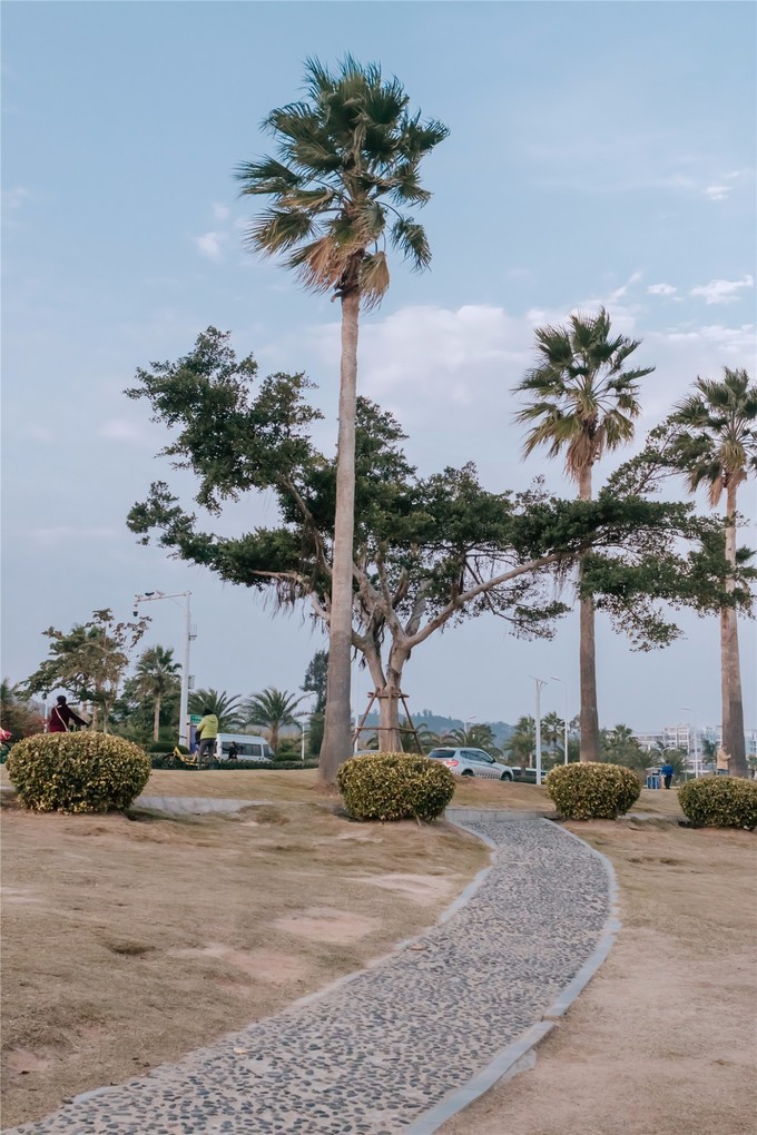 厦门旅游攻略两天两夜详细攻略,厦门旅游攻略一日游详细攻略