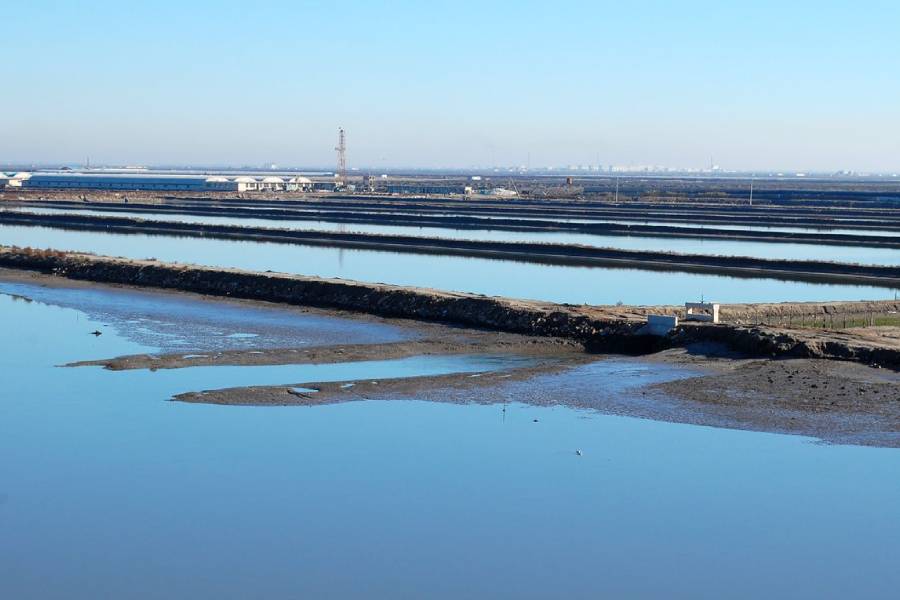 淡水虾养殖需要多长时间,淡水虾养殖在怎样条件下