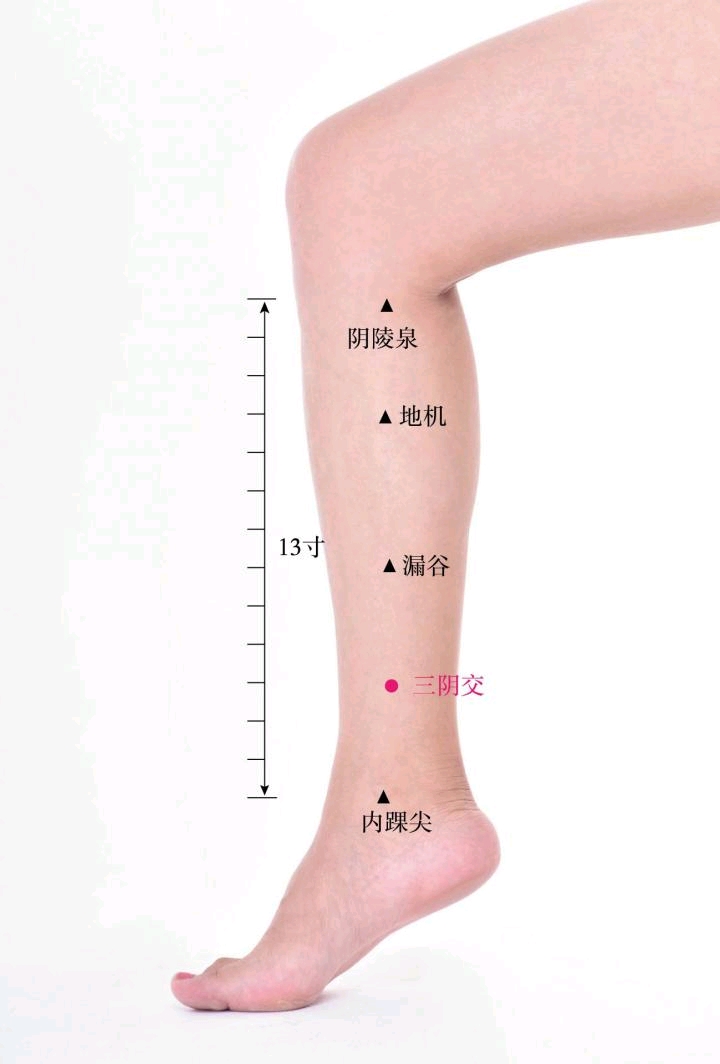 中医谈肌瘤、囊肿的病因，另附一张理冲汤，有效解决您的烦恼