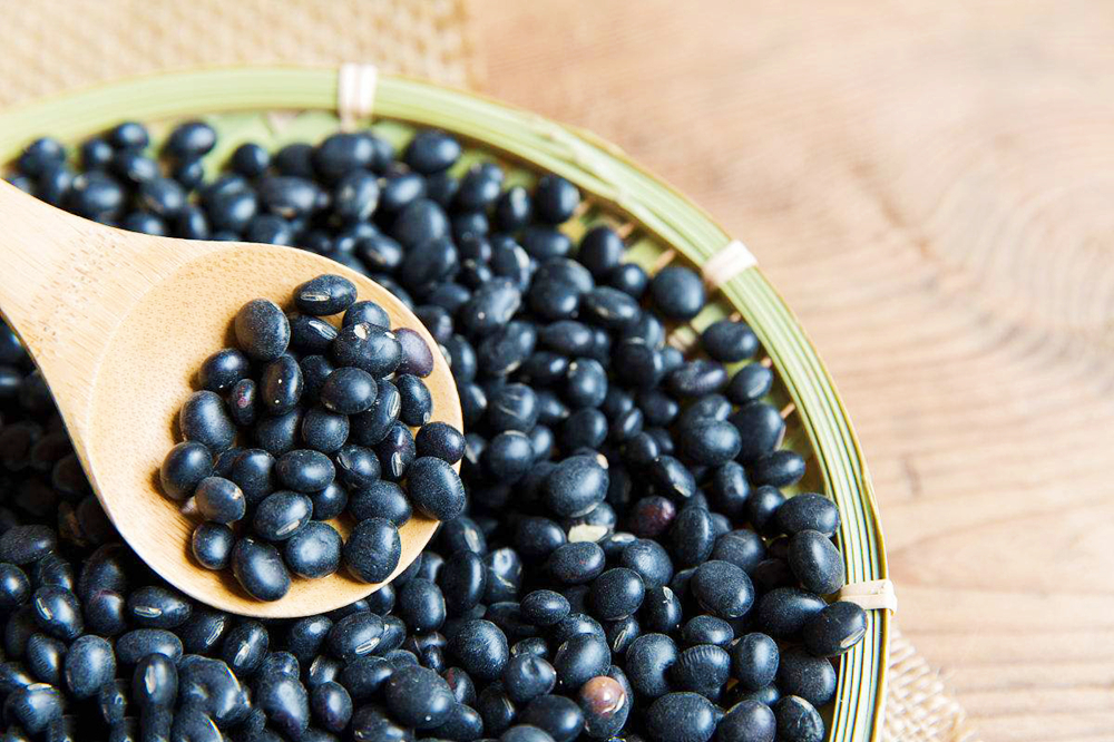 九十六岁老人黑豆的吃法,黑豆养生吃法