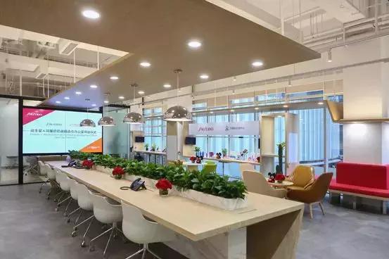 一间“驻猫办”，百年资生堂