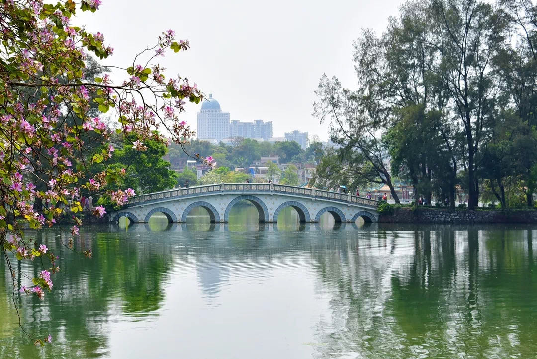 七星坠落玉湖来,乱点湖光水上栽，带你云游人间仙境七星岩。